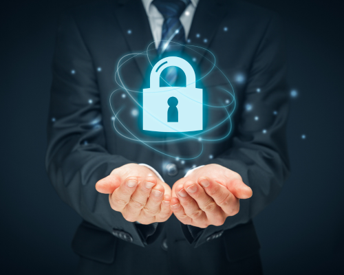 maxima seguridad